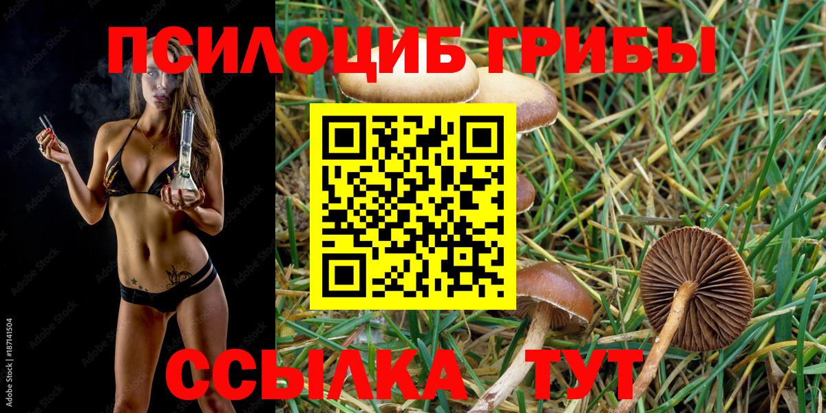 Псилоцибиновые грибы GOLDEN TEACHER Пенза