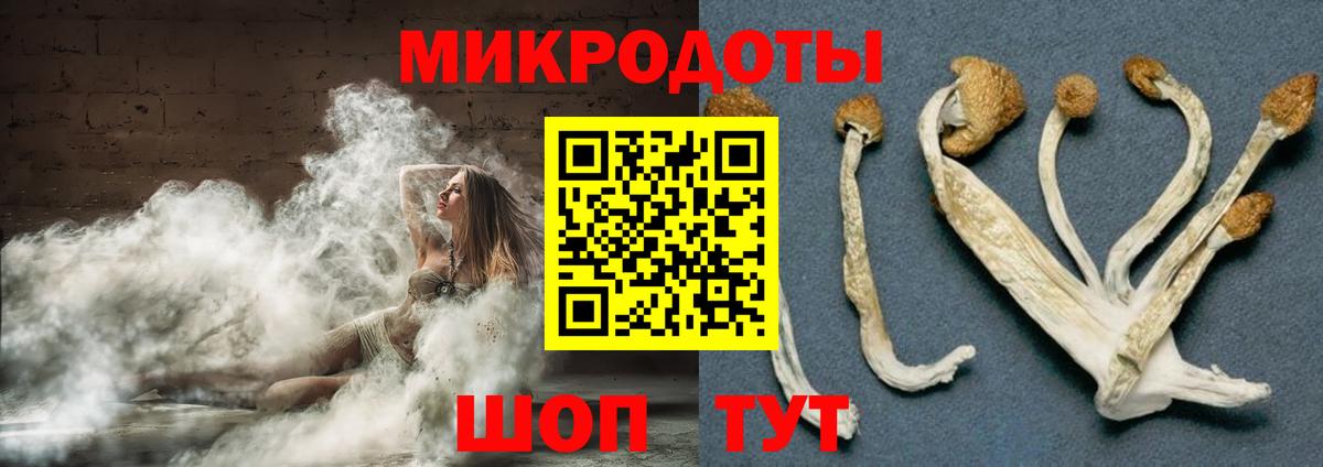 Псилоцибиновые грибы Magic Shrooms  Вход с VPN  Пенза 
